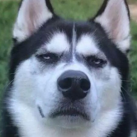hello